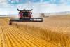 Day 12: Kansas wheat harvest report