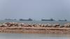 NATO to Discuss Strait of Hormuz Crisis and Proposed Maritime Mission with Gulf States