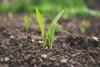 Why restoring soil health is a win-win for farmers and the environment