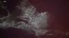 Los Angeles fireworks spotted from space on 4th of July, video shows