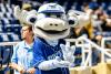 Minor League Baseball Recap: Blue Rocks Finish Third in First Half, Start Second Half Strong