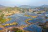 China’s Sineng Electric supplies inverters for 154MW Algeria solar projects