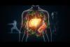 Diet and Lifestyle Interventions for Fatty Liver Disease: A Review of Recommendations