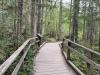 Minnesota Just Landed Among America's Best States for Hiking