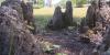 Insurance claims surge after storms damage homes and cars