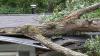 Storm Assistance Available in Four Central Iowa Counties