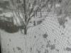 Trump rejects Rhode Island’s request for blizzard relief. McKee vows to appeal.