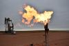 ‘Can you help us?’: US oil execs turn to Trump to topple Europe's climate rules