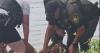 Two people arrested in Lake James on Saturday