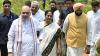 Delhi Ridge to get 1 crore saplings, legal protection, says Shah