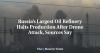 Russia’s Largest Oil Refinery Halts Production After Drone Attack, Sources Say