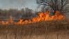 Black Hills National Forest Returns To Stage 1 Fire Restrictions