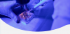 Halving IVF Out-of-Pocket Costs More Than Doubles Births: 22-Nation Study