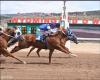 307 Horse racing runs the richest race in Wyoming history