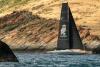 Budget Marine Windies Multihull Trophy concludes