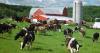 What do Vermont dairy plant closures tell us about the industry?