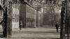 Germany launches ShoutOut platform to fight Holocaust denial and antisemitism online