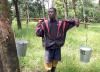 Liberian Rubber Workers Triumphed Against Union Busting