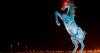 Blucifer: The One Denver Airport Conspiracy That’s Actually True
