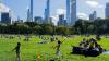New York City Travel Guide: What to See, Visit and Do