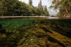 River Snorkeling in North Carolina: Summer’s Hidden Adventure
