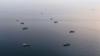 Jordan Condemns Iran’s Attack on Qatari Tanker in the Strait of Hormuz
