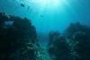 An increasingly contested space: the Pacific seabed and the actors reshaping it