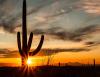 For Most Retirees, Only One Arizona City Actually Makes Sense. Here’s Which.
