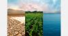 Climate volatility shifts competitiveness in the global produce sector