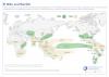 Climate Models Show El Niño Is Rapidly Strengthening