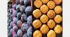 Encouraging plum prices and positive prospects for kakis in Pella, Greece