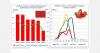 Moroccan fresh strawberry exports fall to record low
