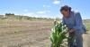 The power and potential of Indigenous agriculture