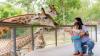 The Unexpected Way A Data Center Project Is Threatening Nashville Zoo's Most Sensitive Animals