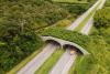 The growing global popularity of wildlife crossings