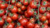 Morocco extends produce export freeze to Africa despite domestic price drops