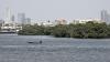 Search underway for cargo plane that vanished off Pakistan coast