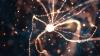 Scientists Think They've Finally Identified How Alzheimer's Kills Brain Cells