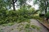 70 mph storm line tears through New Jersey, knocking out power for 149,000 customers
