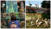 Hottest Cuti-Cuti Malaysia Spots In 2026 So Far