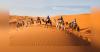 Beyond Souks and Sand Dunes: Discovering Morocco's Hidden Family Experiences