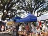 Weekly market land with heritage trees set to be sold off by church