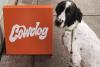 Small Business Cowdog Coffee Slams Deloitte for Asking It to Donate Freebies in Exchange for 'Exposure'