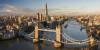 Vast majority of London jobs ‘at risk’ in looming AI bloodbath, new report warns