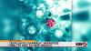3 cyclosporiasis cases confirmed in New Mexico, health officials urge hand washing