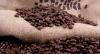 Rain delays coffee harvest in Brazil, potentially hurting bean quality