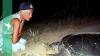 Sea turtle rescue at Lebanon's Orange House after Mona Khalil