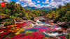 Colombia's Caño Cristales