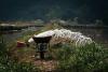Scarcity to Sustainability: How Communities Are Securing Africa’s Water Future