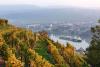 Scenic and Emerald Unveil 2026 and 2027 Europe Holiday Sailings